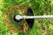 PictureAltAttribute - 20100806-7-jpg